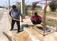 آغاز عمليات كاشت  ٤٠٠ نهال در روستاى سهموجنوبى توسط دهيارى