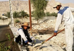 درختكاري خيابان هاي سهموجنوبي