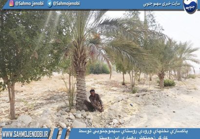 پاكسازي نخلهاي ورودي سهموجنوبي